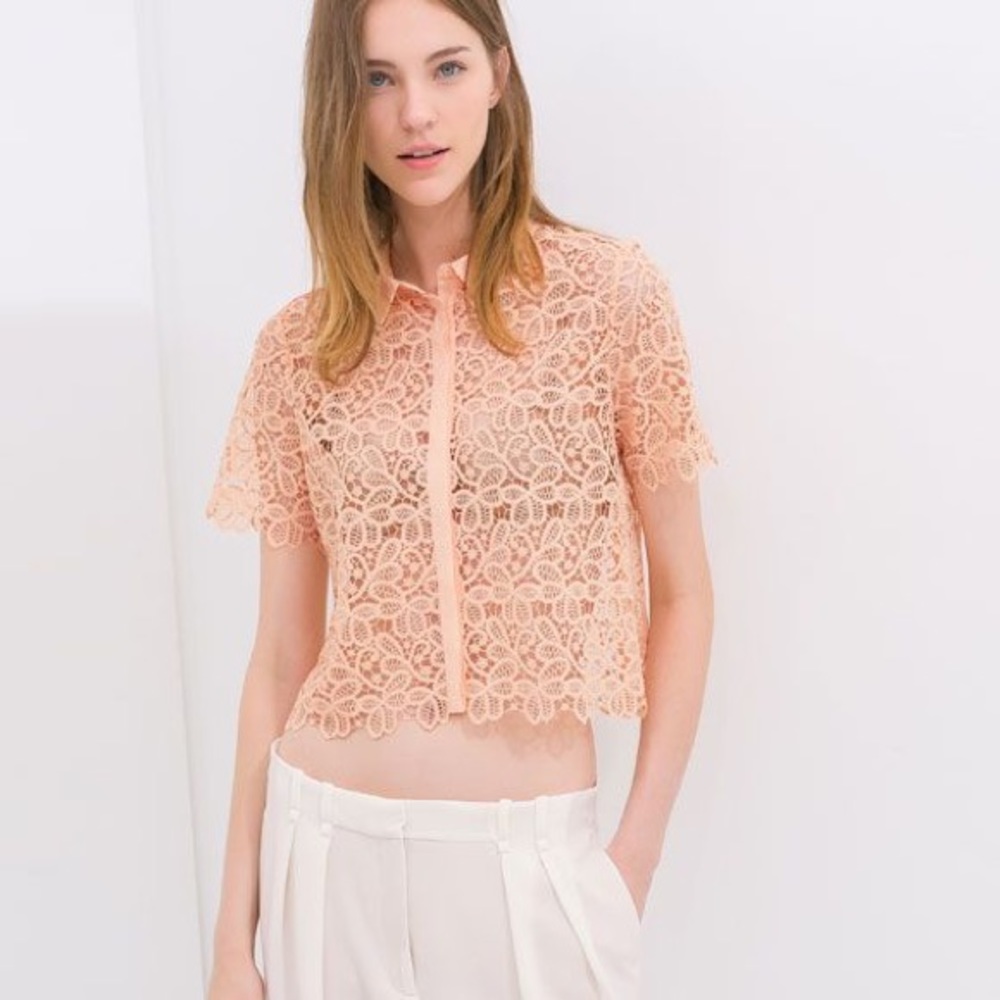 Zara Peach Orange Lace Embroidery Crop Top NWOT